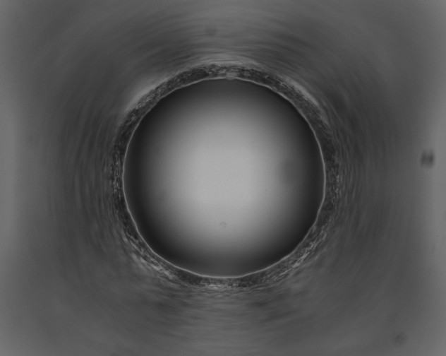 X0000091220775200708231630