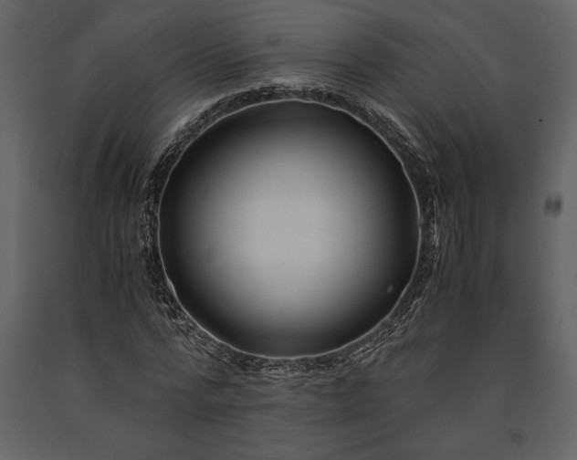 X0000091220776200708231630