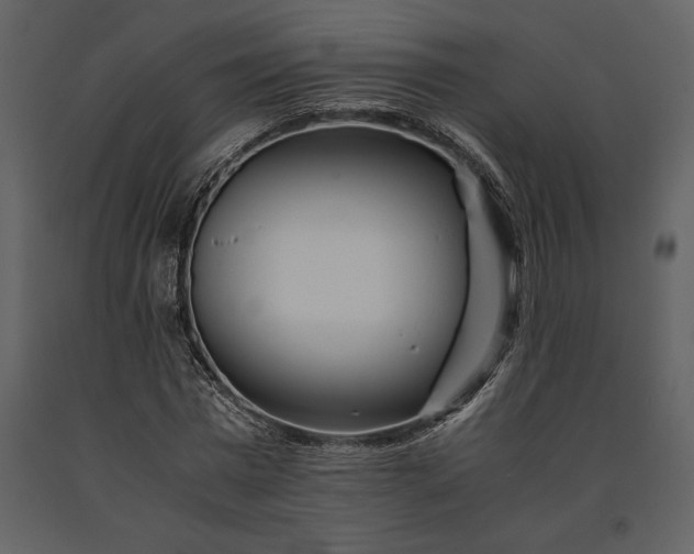 X0000091220777200708231630