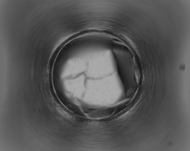 X0000091220779200708231630