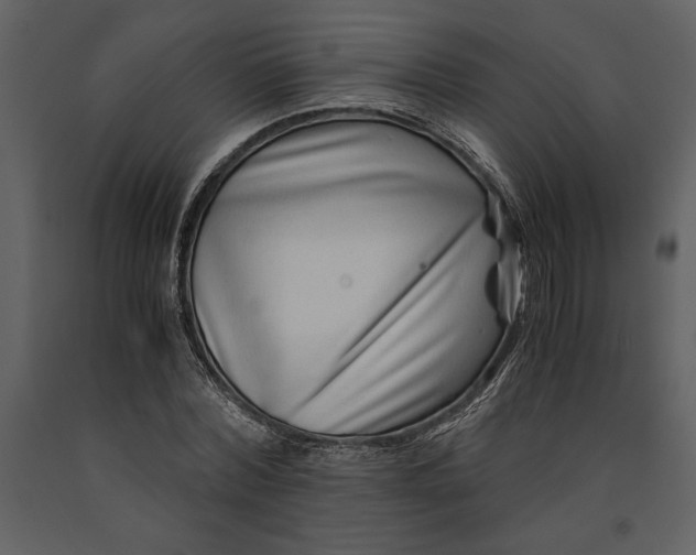 X0000091220780200708231630