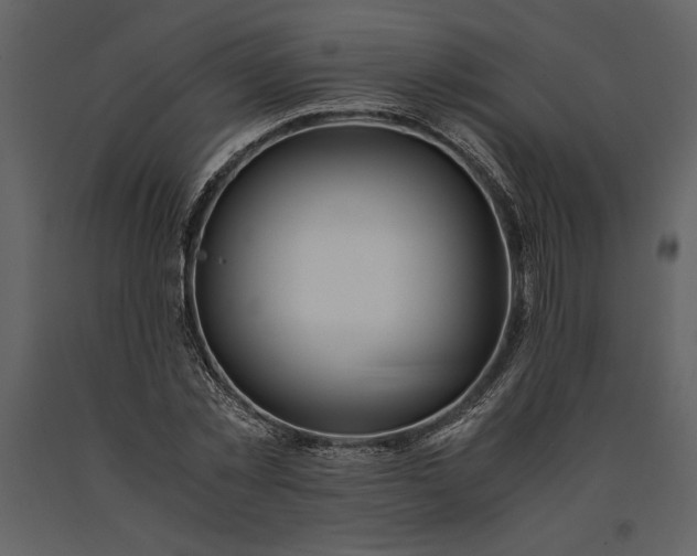 X0000091220781200708231630