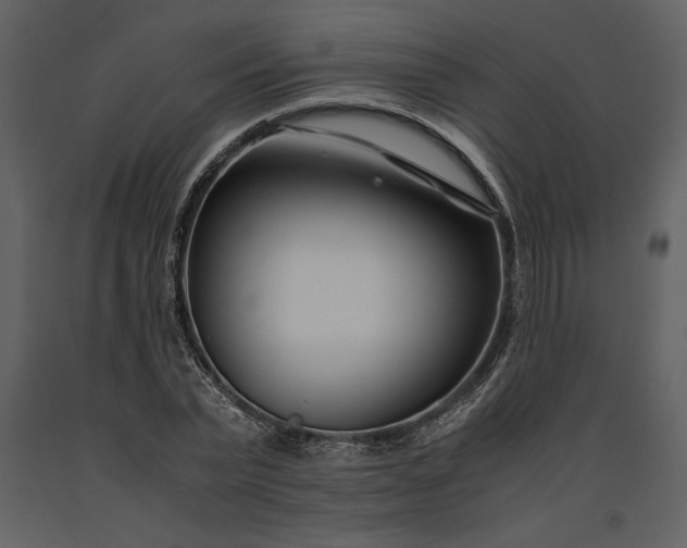 X0000091220783200708231630