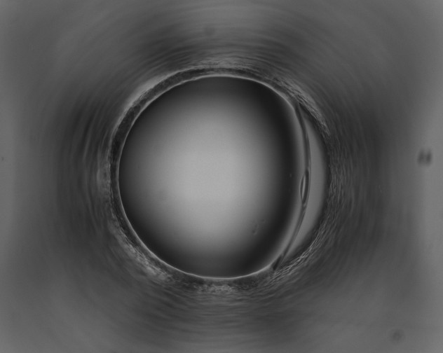 X0000091220784200708231630