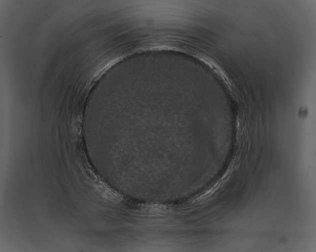 X0000091220785200708231630