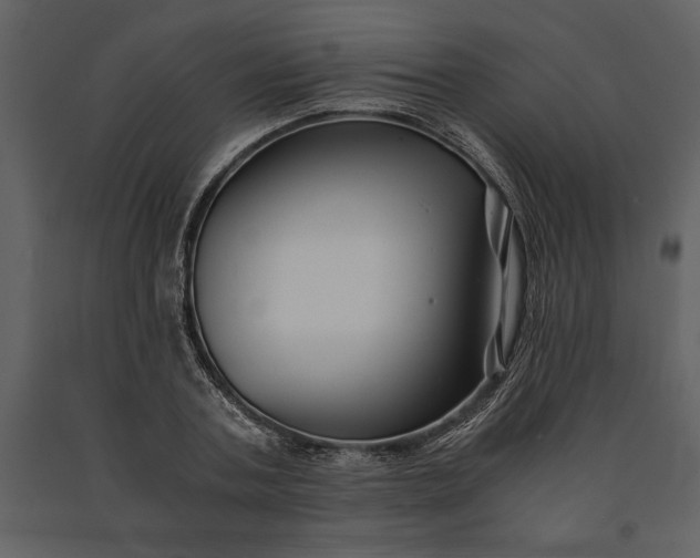 X0000091220787200708231630