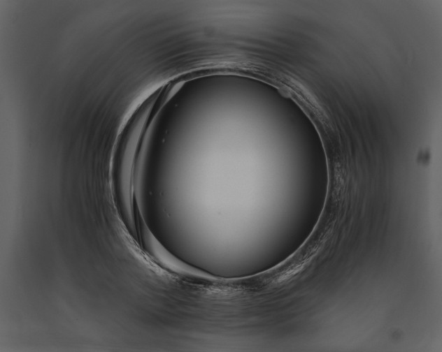 X0000091220788200708231629