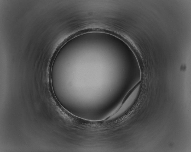 X0000091220791200708231629