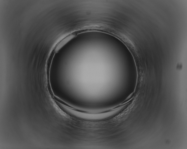 X0000091220792200708231629