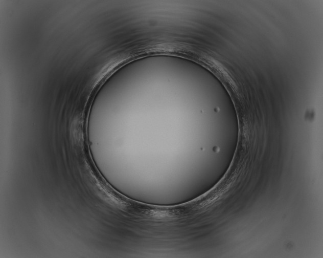 X0000091220794200708231629