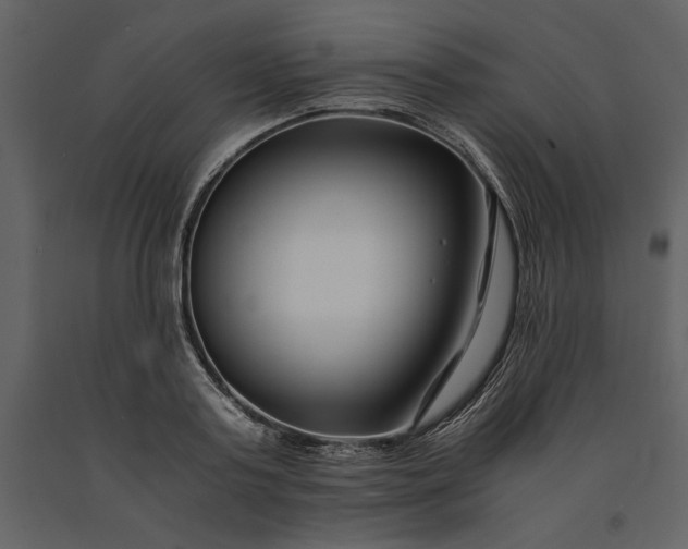 X0000091220795200708231629