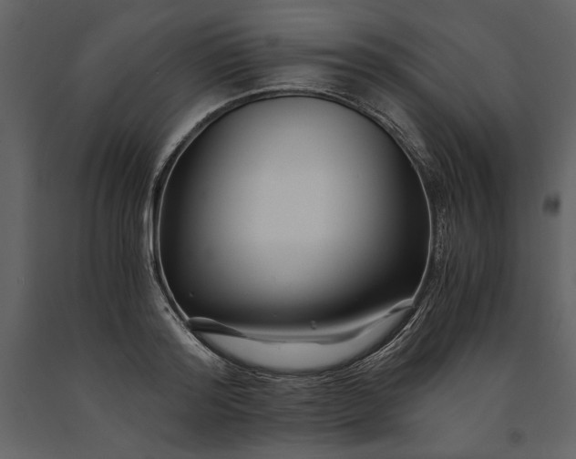 X0000091220796200708231629