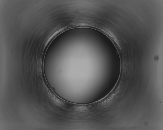 X0000091220798200708231629