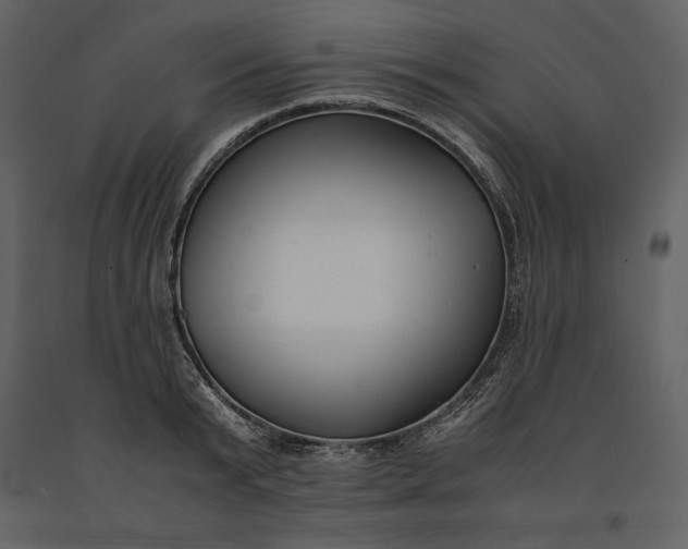 X0000091220799200708231629