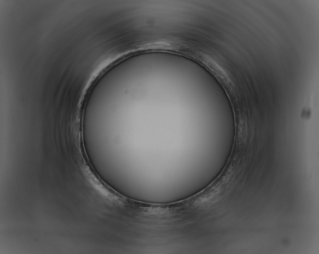 X0000091220800200708231629