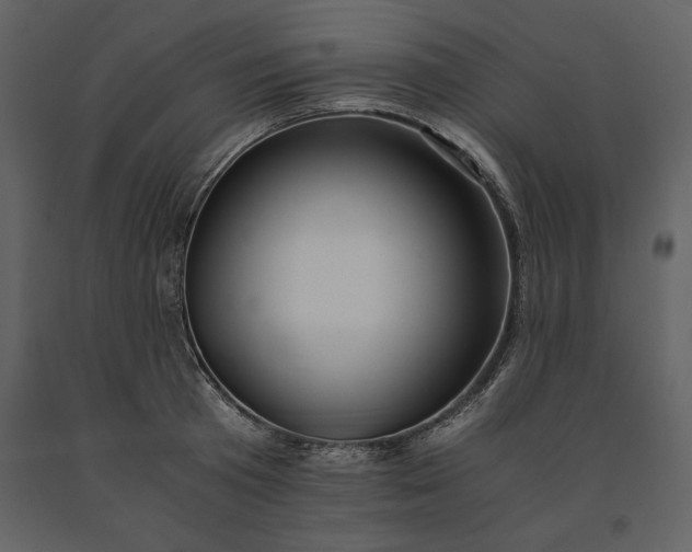 X0000091220801200708231629