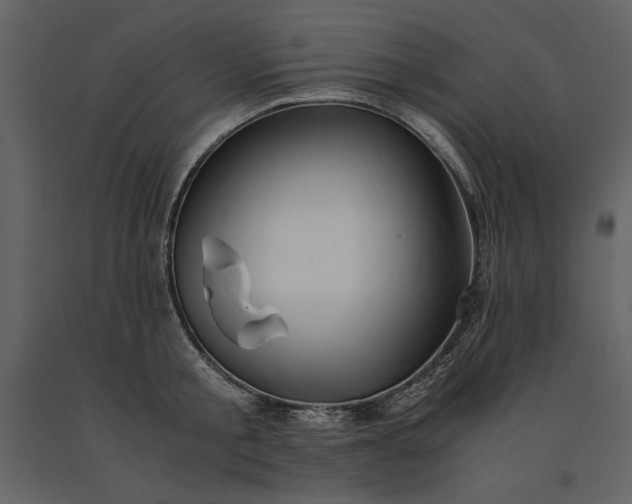 X0000091220805200708231629