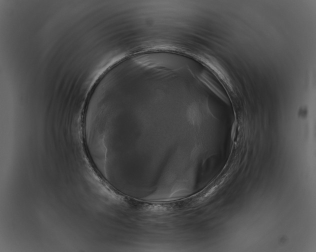 X0000091220806200708231629