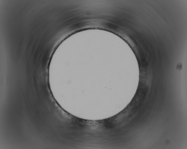 X0000091220807200708231629