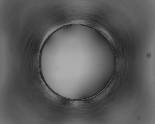 X0000091220808200708231629