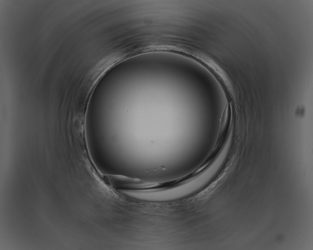 X0000091220809200708231629