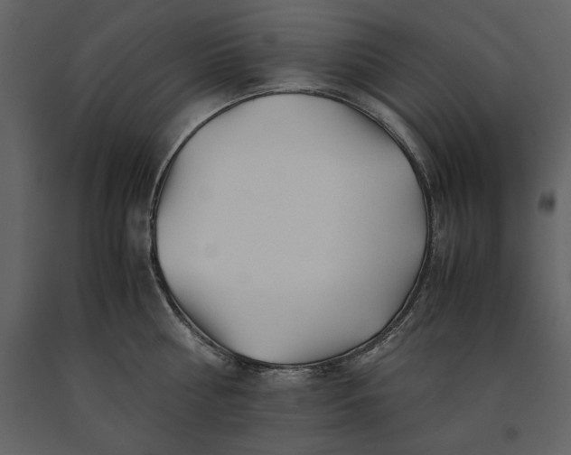 X0000091220810200708231629