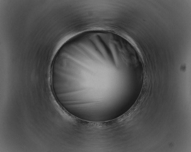 X0000091220811200708231629