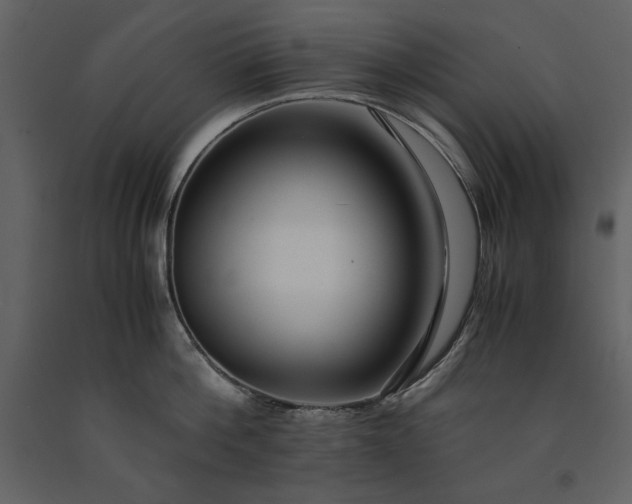 X0000091220812200708231629