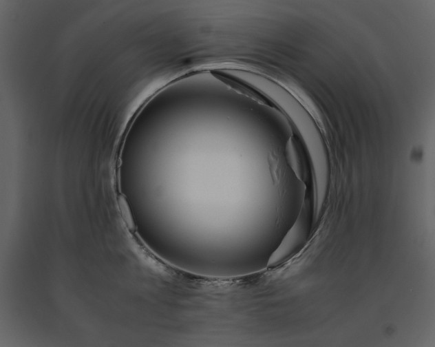 X0000091220813200708231629