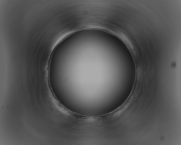 X0000091220814200708231629