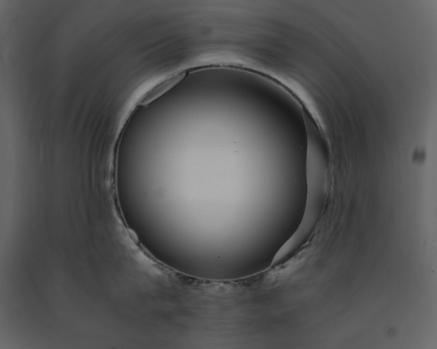 X0000091220815200708231629