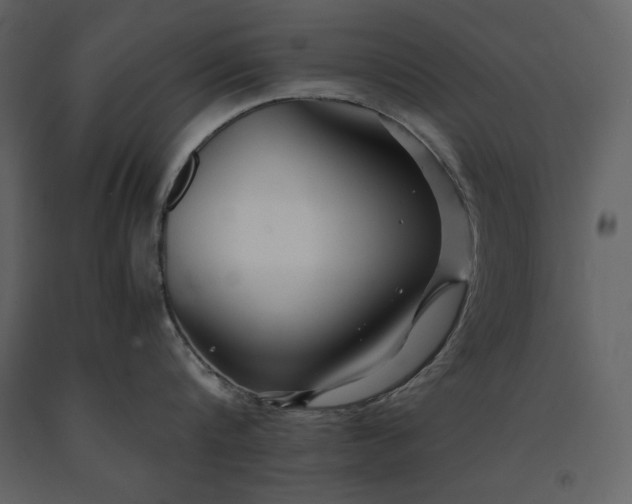 X0000091220816200708231629