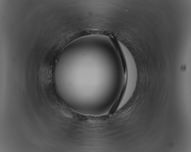 X0000091220818200708231628