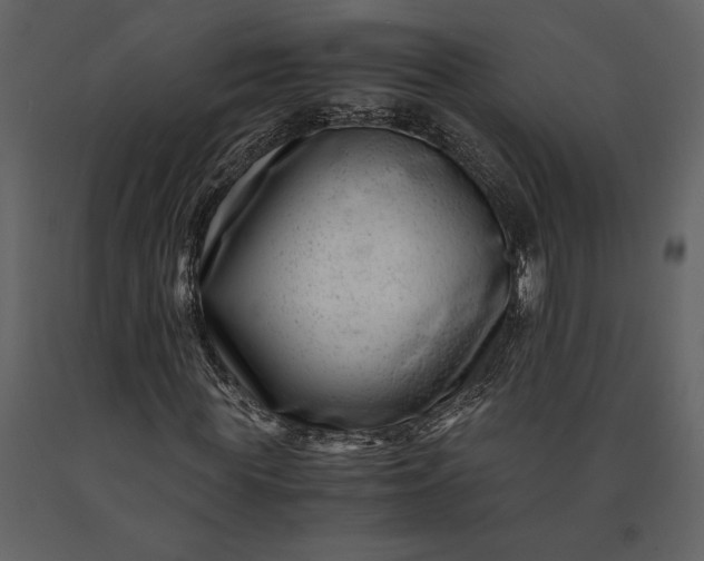 X0000091220819200708231628