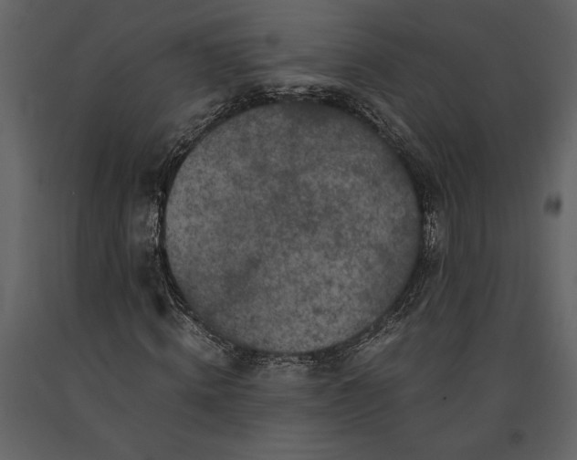 X0000091220820200708231628