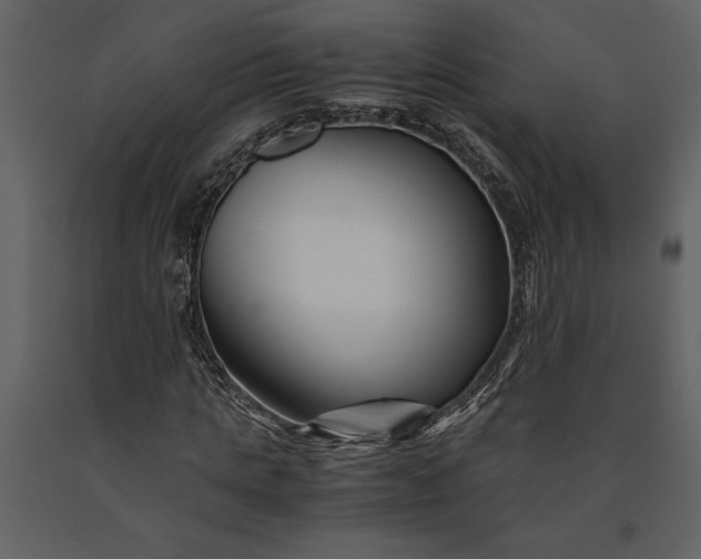 X0000091220821200708231628