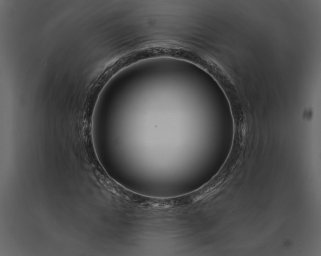 X0000091220822200708231628