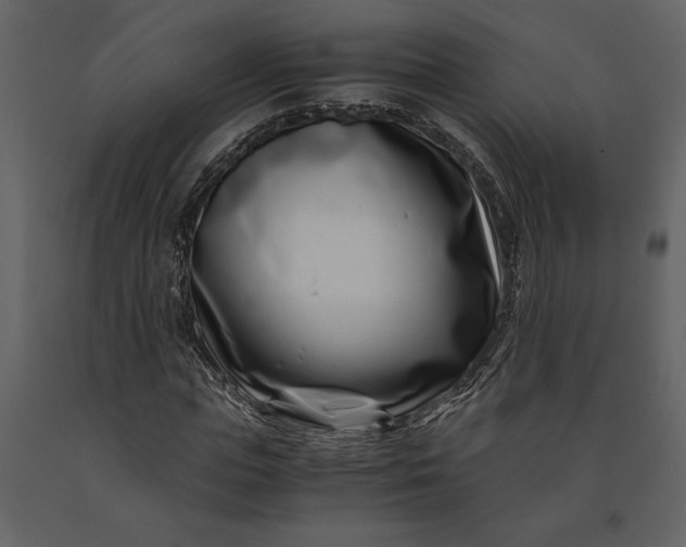 X0000091220823200708231628