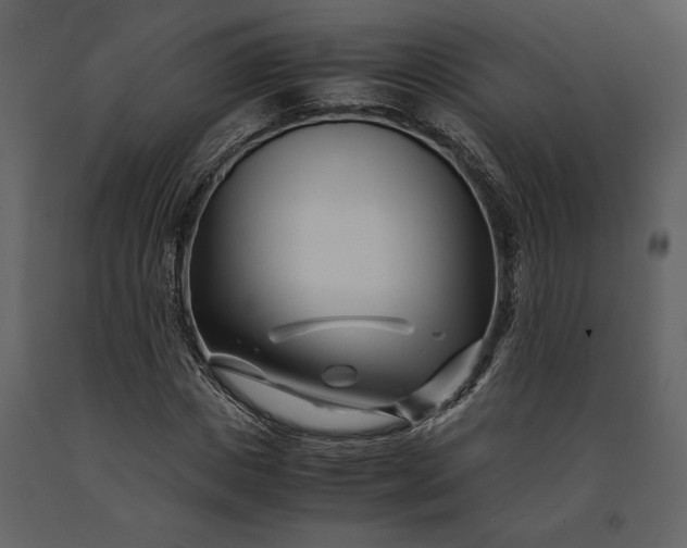 X0000091220825200708231628