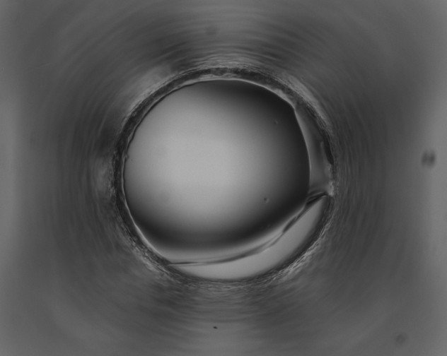 X0000091220826200708231628