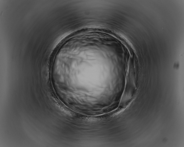 X0000091220829200708231628