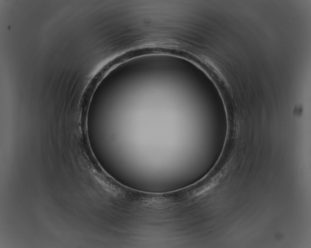 X0000091220830200708231628