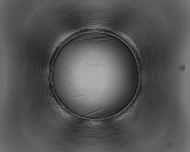 X0000091220831200708231628