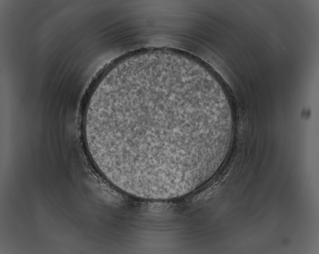 X0000091220832200708231628