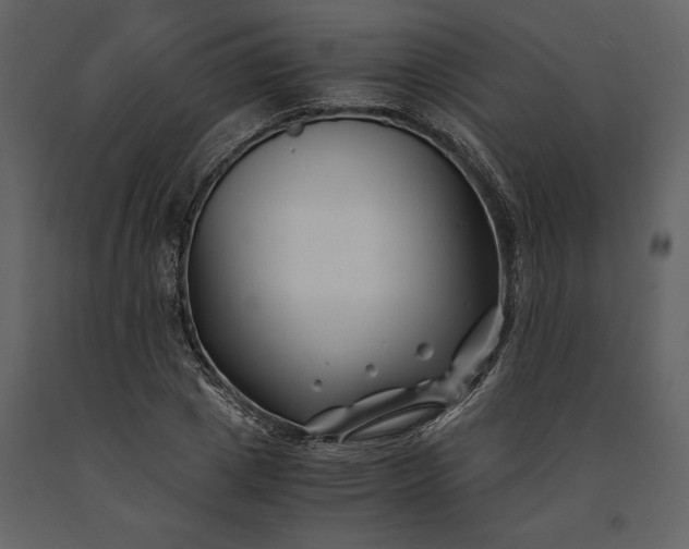 X0000091220833200708231628