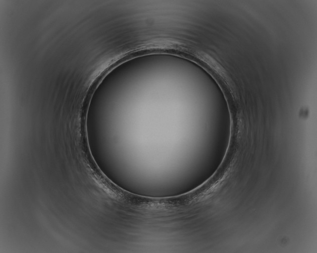 X0000091220834200708231629