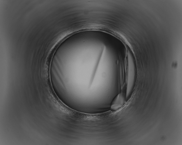 X0000091220835200708231629