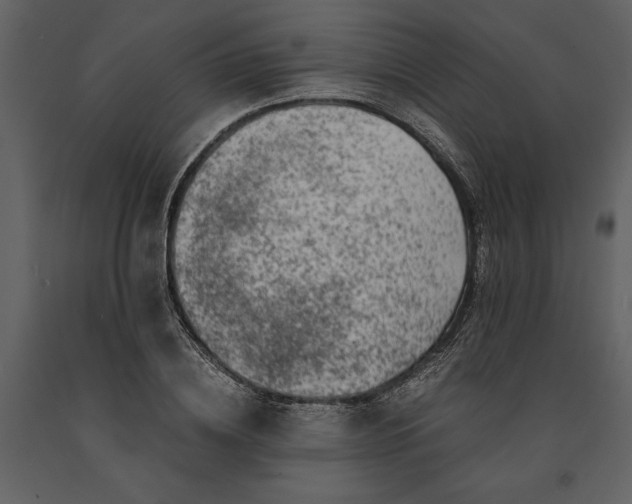 X0000091220836200708231629