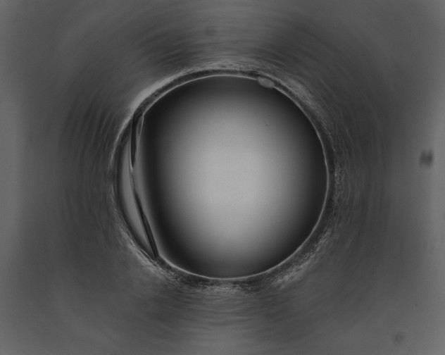 X0000091220838200708231629