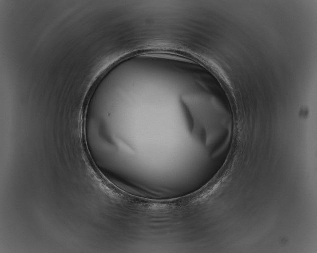 X0000091220839200708231629